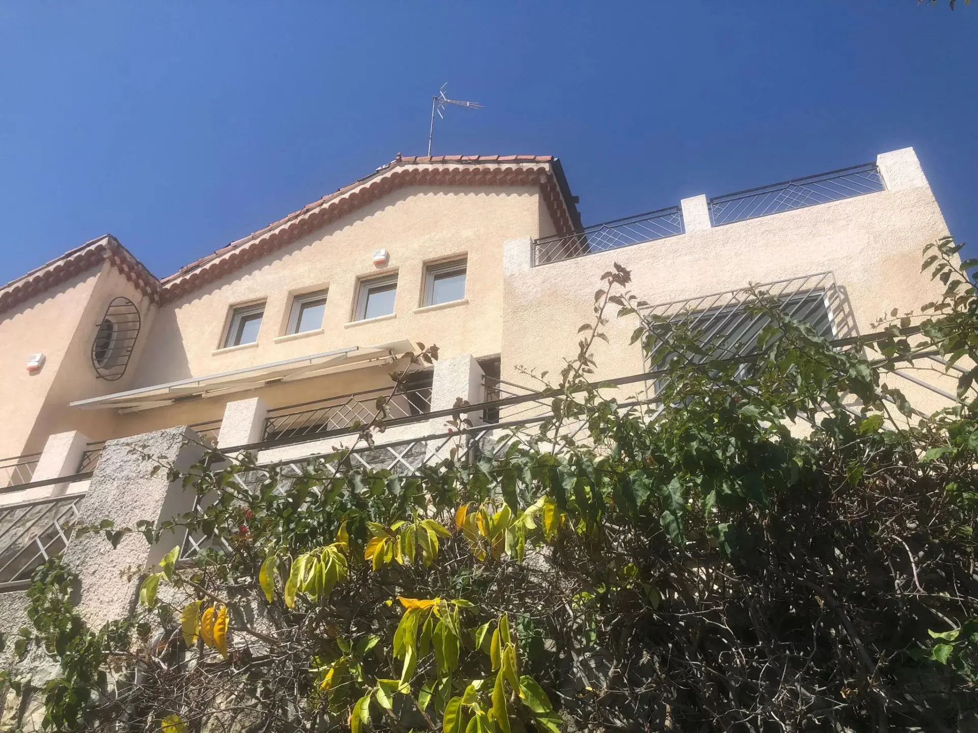 Immagine per Villa in vendita a Bordighera