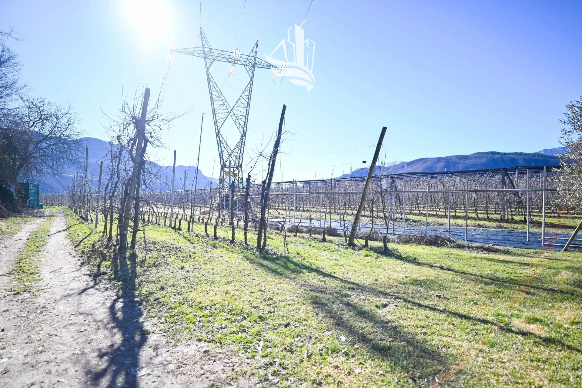Immagine per Cascina in vendita a Laives