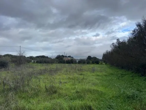 Agricolo via Is Spinargius, San Sperate