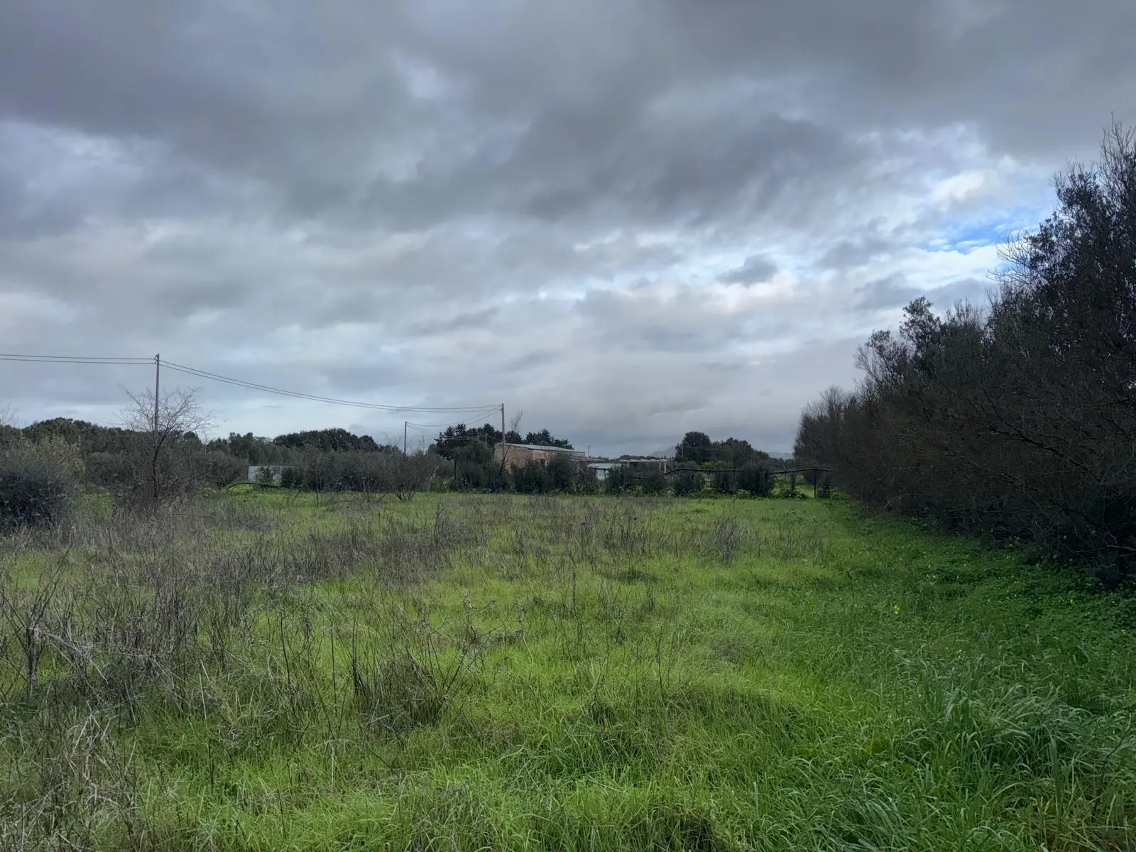 Immagine per Agricolo in vendita a San Sperate via Is Spinargius