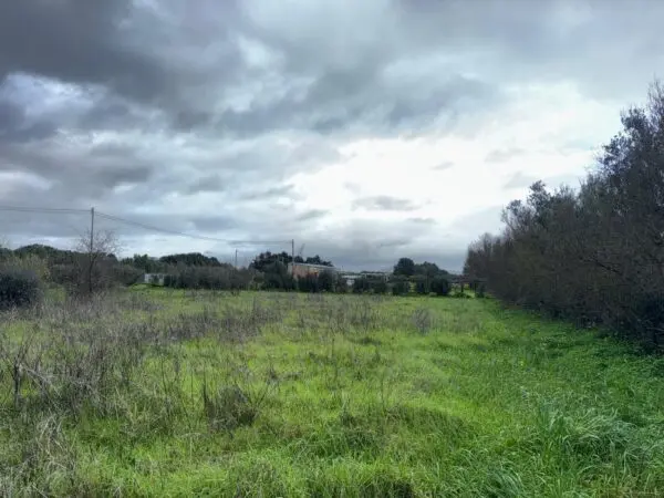 Agricolo via Is Spinargius, San Sperate