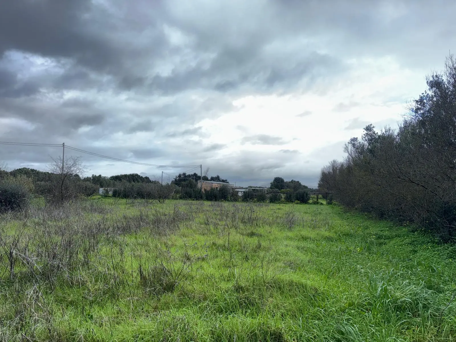 Immagine per Agricolo in vendita a San Sperate via Is Spinargius