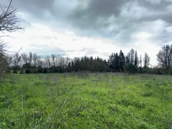 Agricolo via Is Spinargius, San Sperate