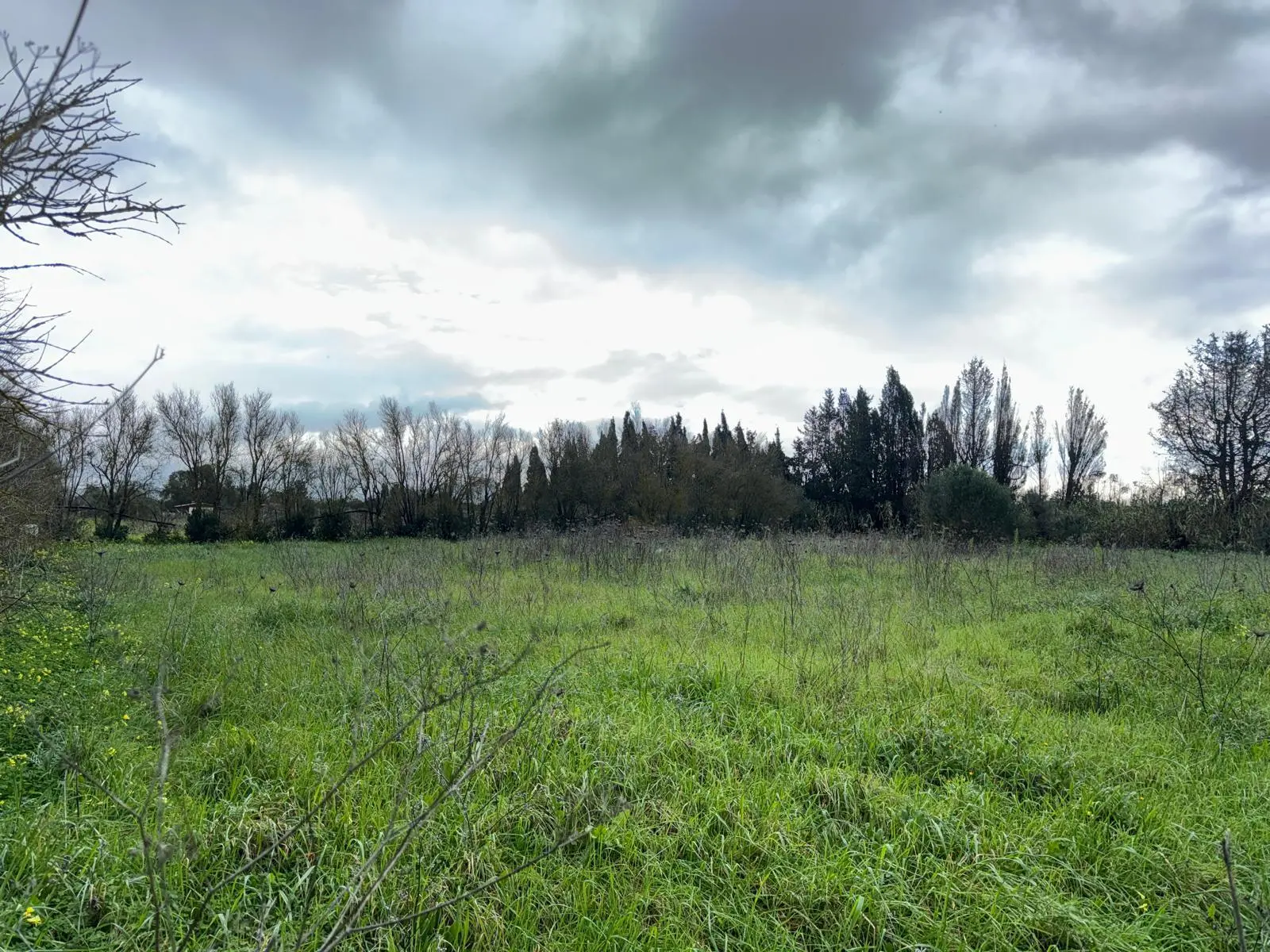 Immagine per Agricolo in vendita a San Sperate via Is Spinargius
