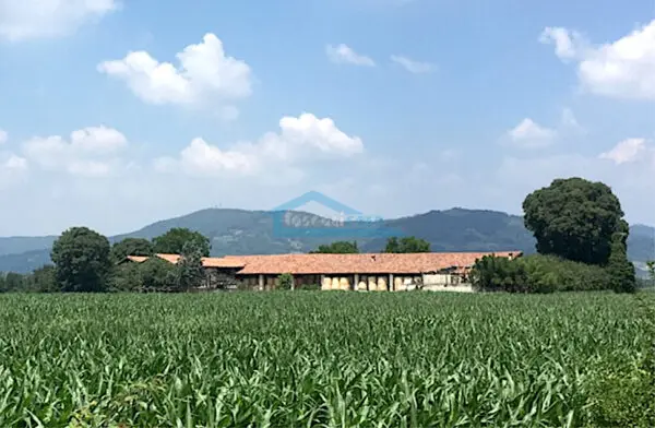 Casale via Venezia 26, Palazzolo Sull'Oglio