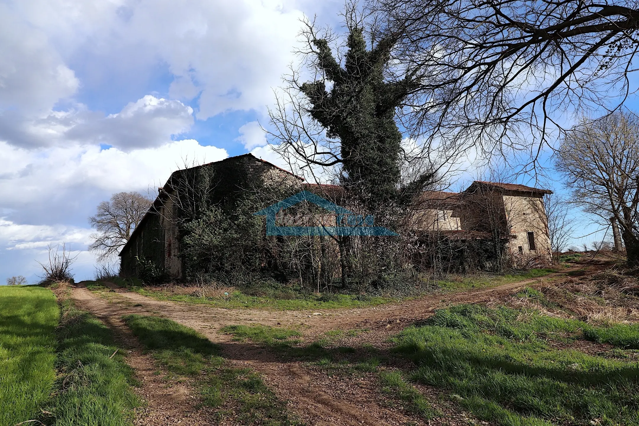 Immagine per Casale in vendita a Palazzolo sull'Oglio via Venezia 26