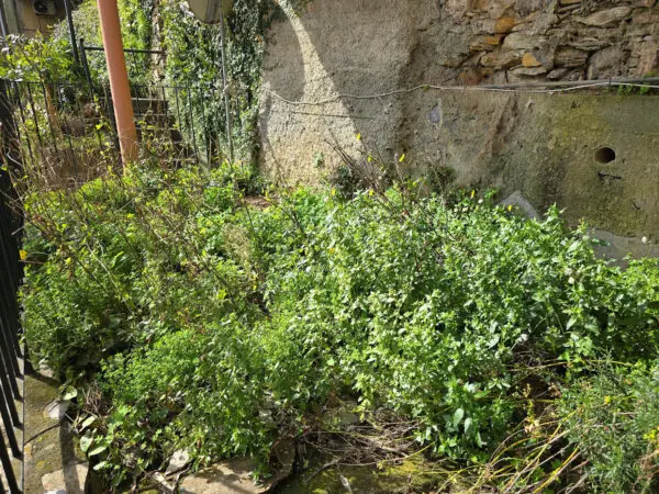 Monolocale 56, Zoagli