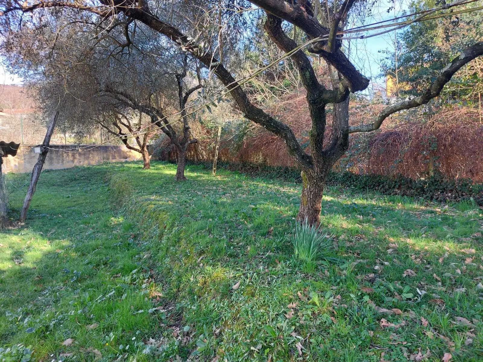 Immagine per Villa a schiera in vendita a Castelnuovo Magra via Del Maggiore