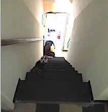Porzione Di Casa via Craì 12, Uscio