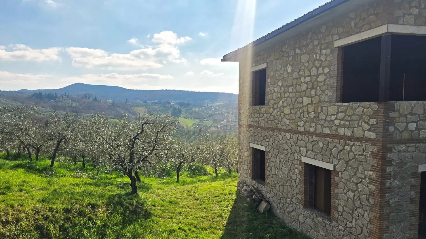 Immagine per Villa in vendita a Montecchio via Pagliericci 15