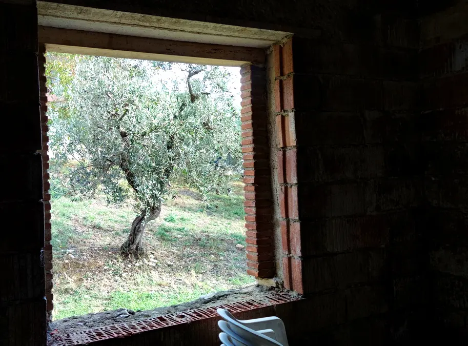 Immagine per Villa in vendita a Montecchio via Pagliericci 15