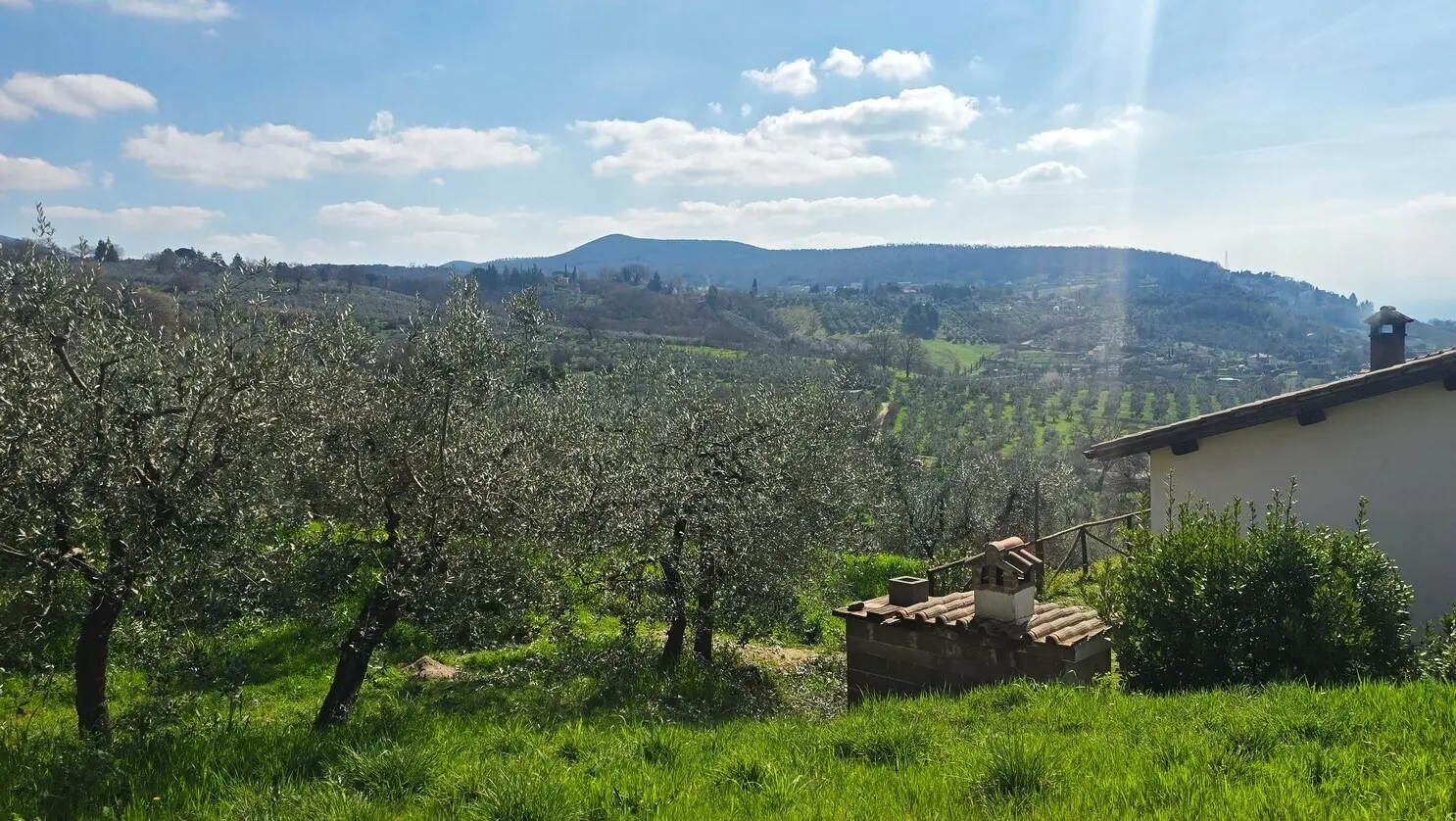 Immagine per Villa in vendita a Montecchio via Pagliericci 15