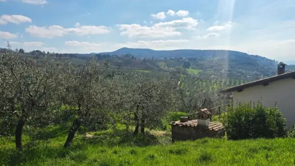 Villa via Pagliericci 15, Montecchio