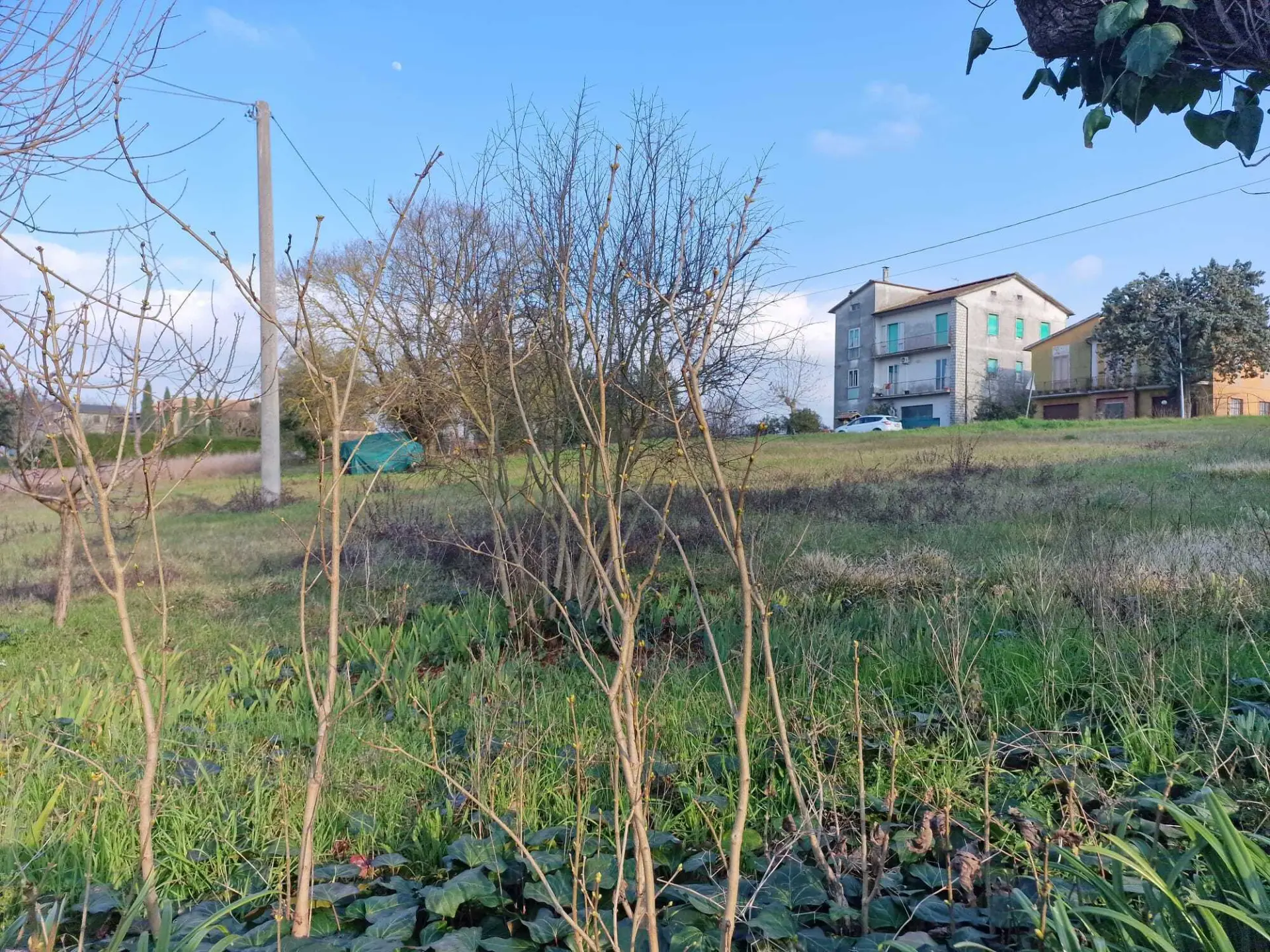 Immagine per Porzione di casa in vendita a Avigliano Umbro via Roma