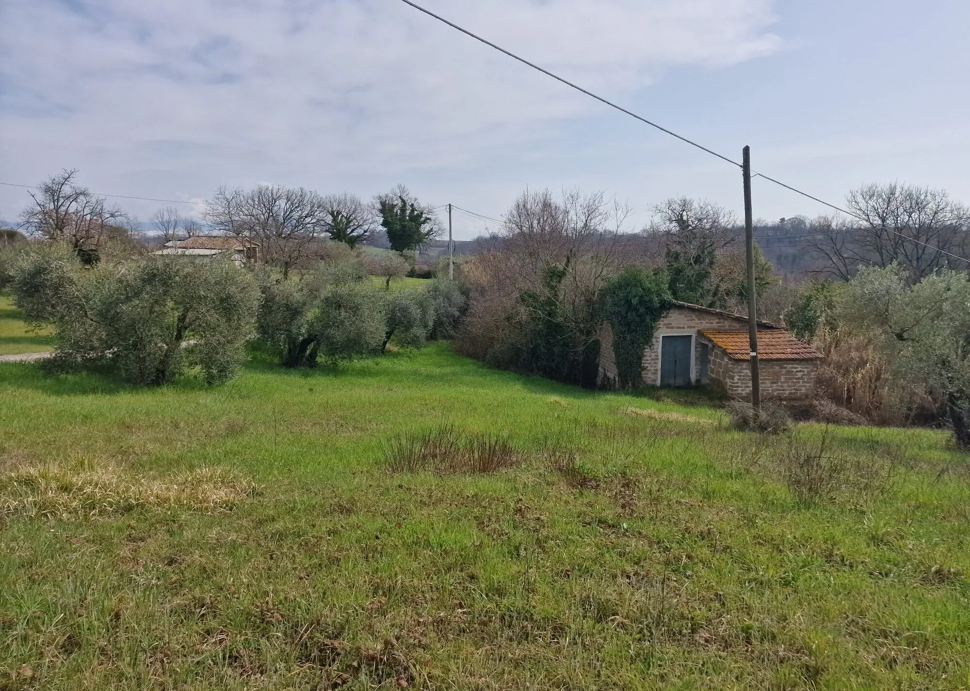 Immagine per Terratetto in vendita a Montecastrilli via Valle Molina