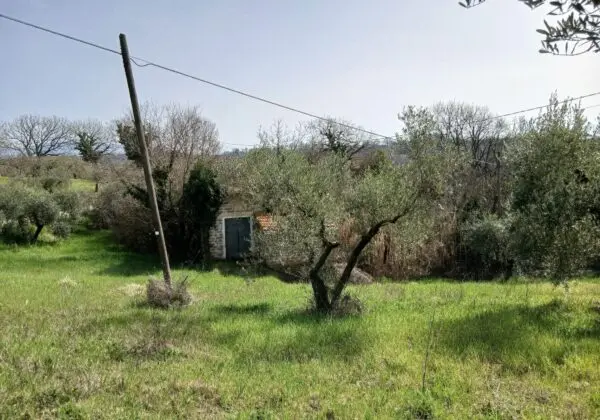 Terratetto via Valle Molina, Montecastrilli