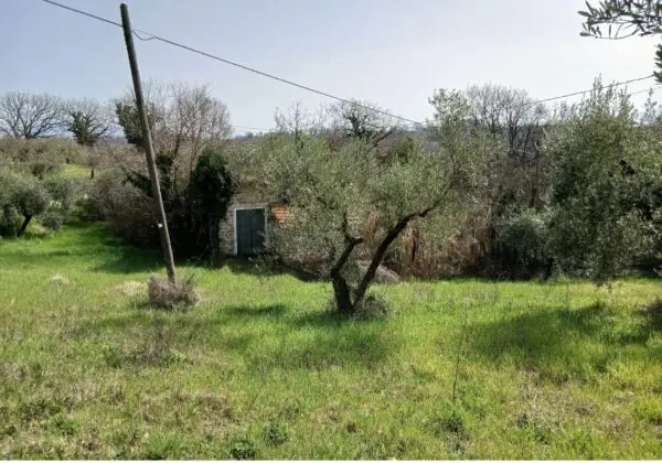 Terratetto via Valle Molina, Montecastrilli