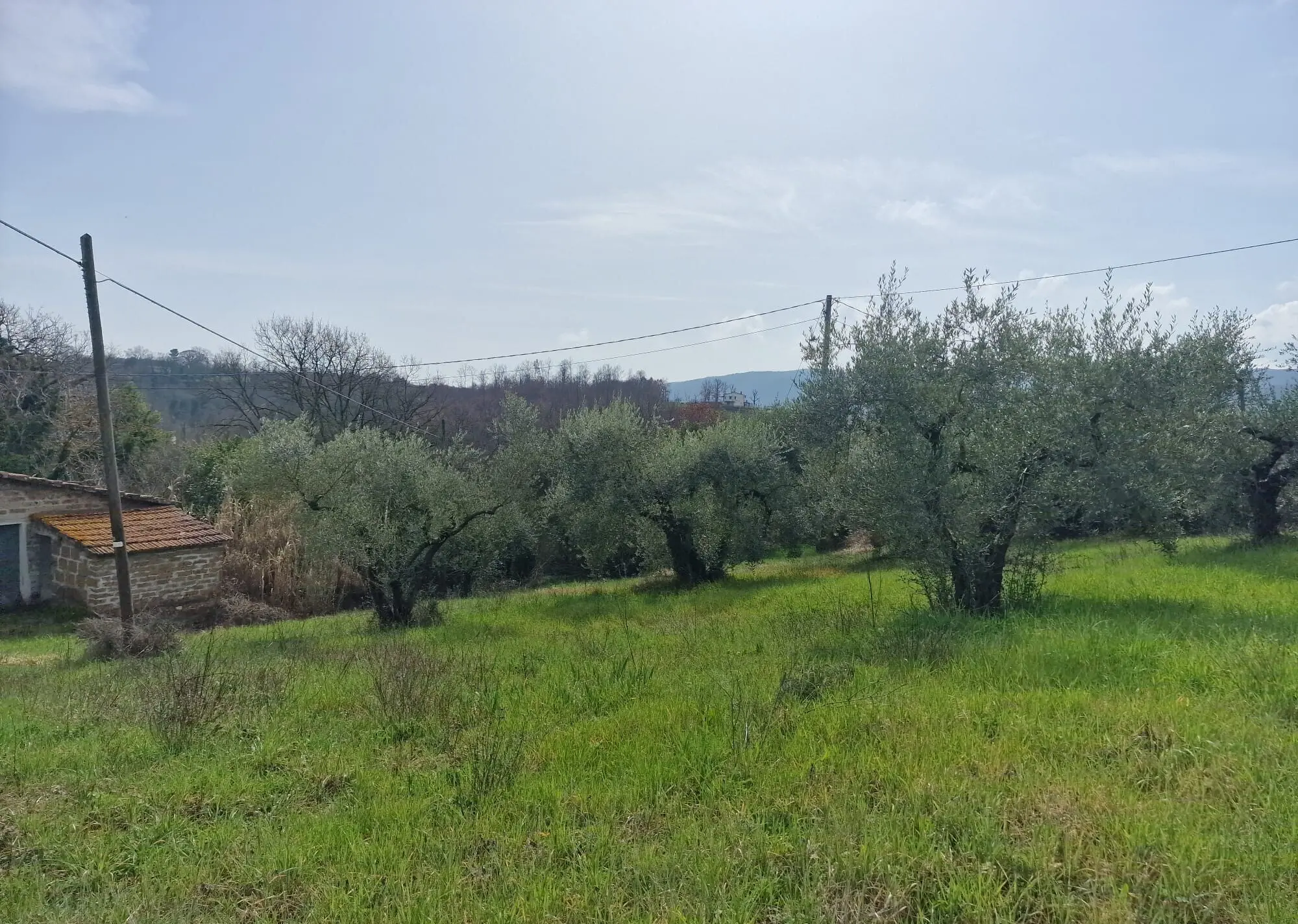 Immagine per Terratetto in vendita a Montecastrilli via Valle Molina