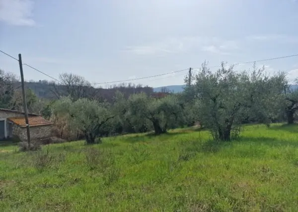 Terratetto via Valle Molina, Montecastrilli