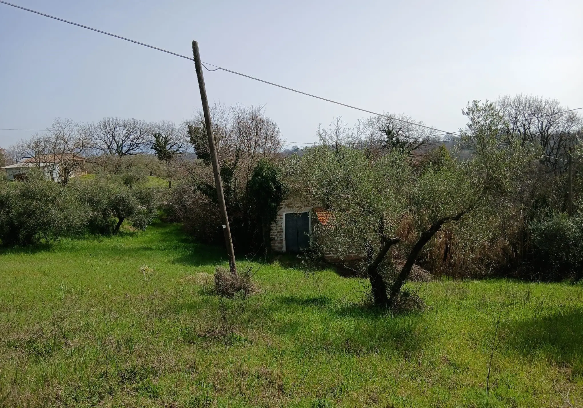 Immagine per Terratetto in vendita a Montecastrilli via Valle Molina