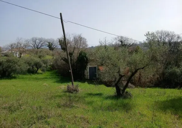 Terratetto via Valle Molina, Montecastrilli