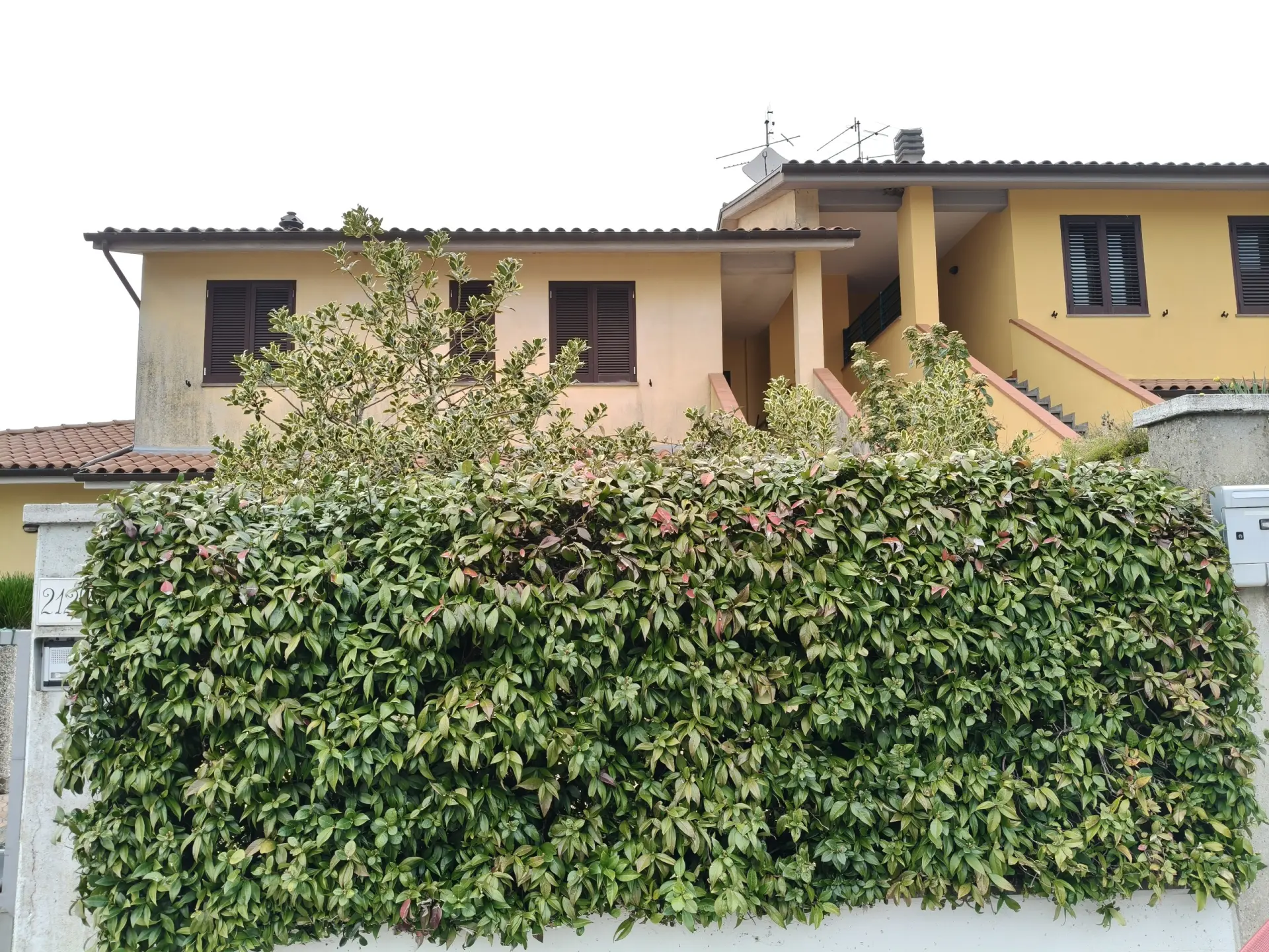 Immagine per Monolocale in vendita a Todi via Vocabolo Torresquadrata 212C