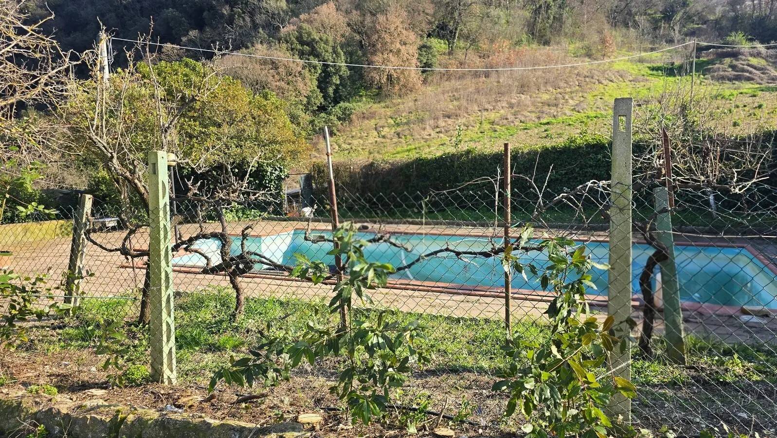 Immagine per Casale in vendita a Montecchio via Di Carnano 8