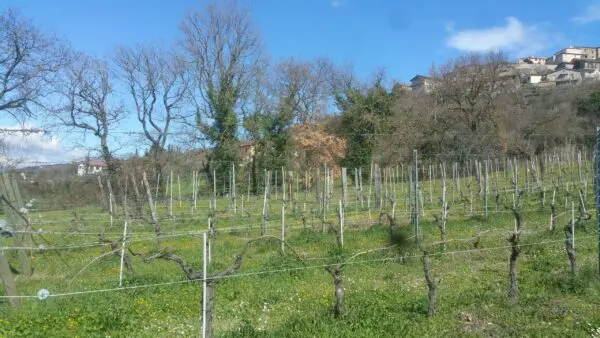 Terreno via San Francesco, Lugnano In Teverina
