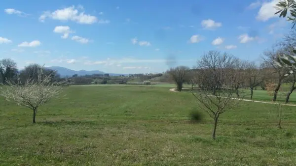 Terreno via San Francesco, Lugnano In Teverina