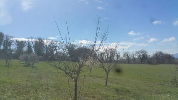 Terreno via San Francesco, Lugnano In Teverina