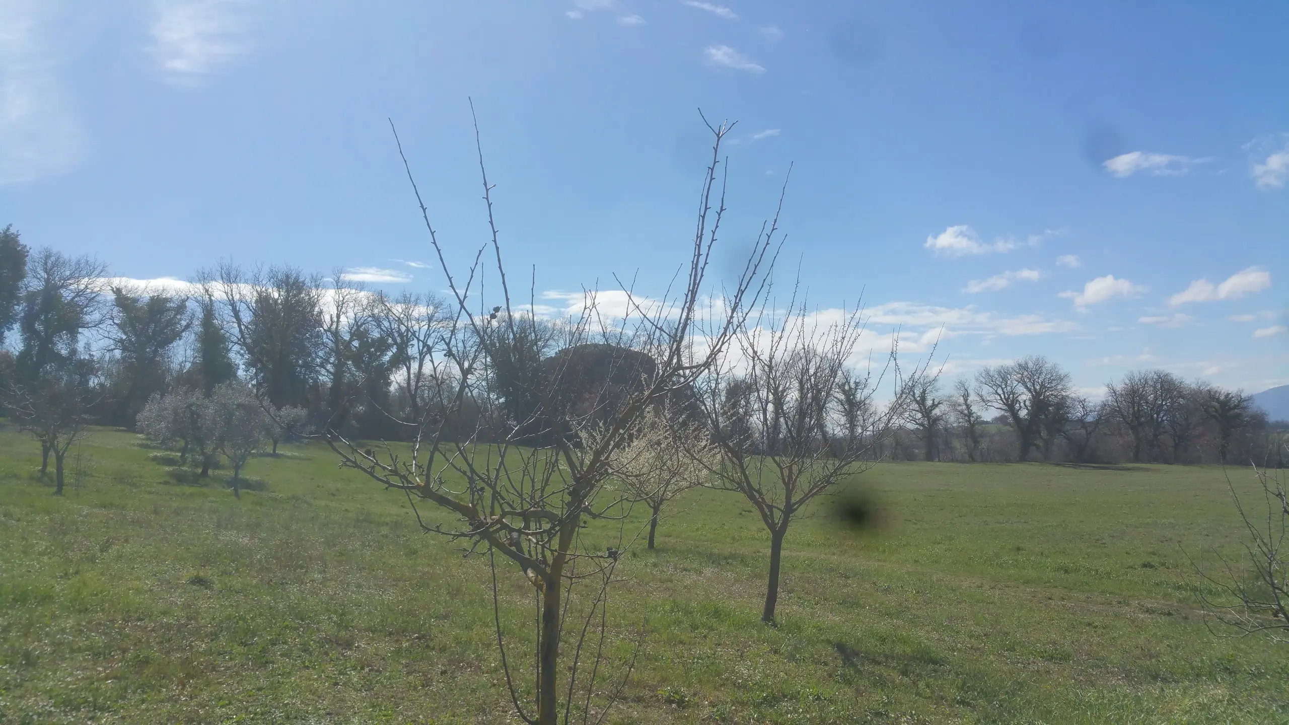 Immagine per Terreno in vendita a Lugnano in Teverina via San Francesco