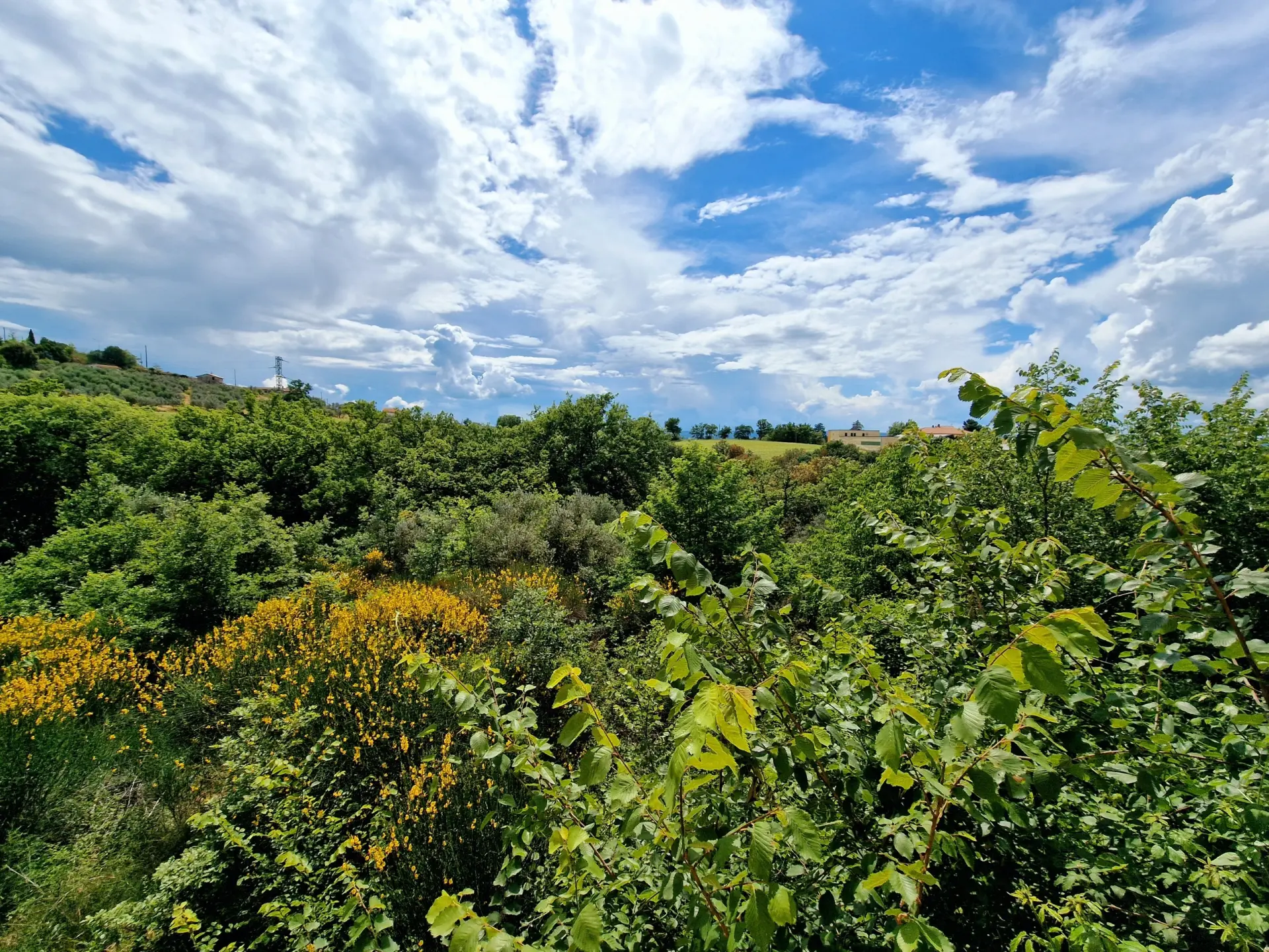 Immagine per Villa in vendita a Montecchio via Cucicchi
