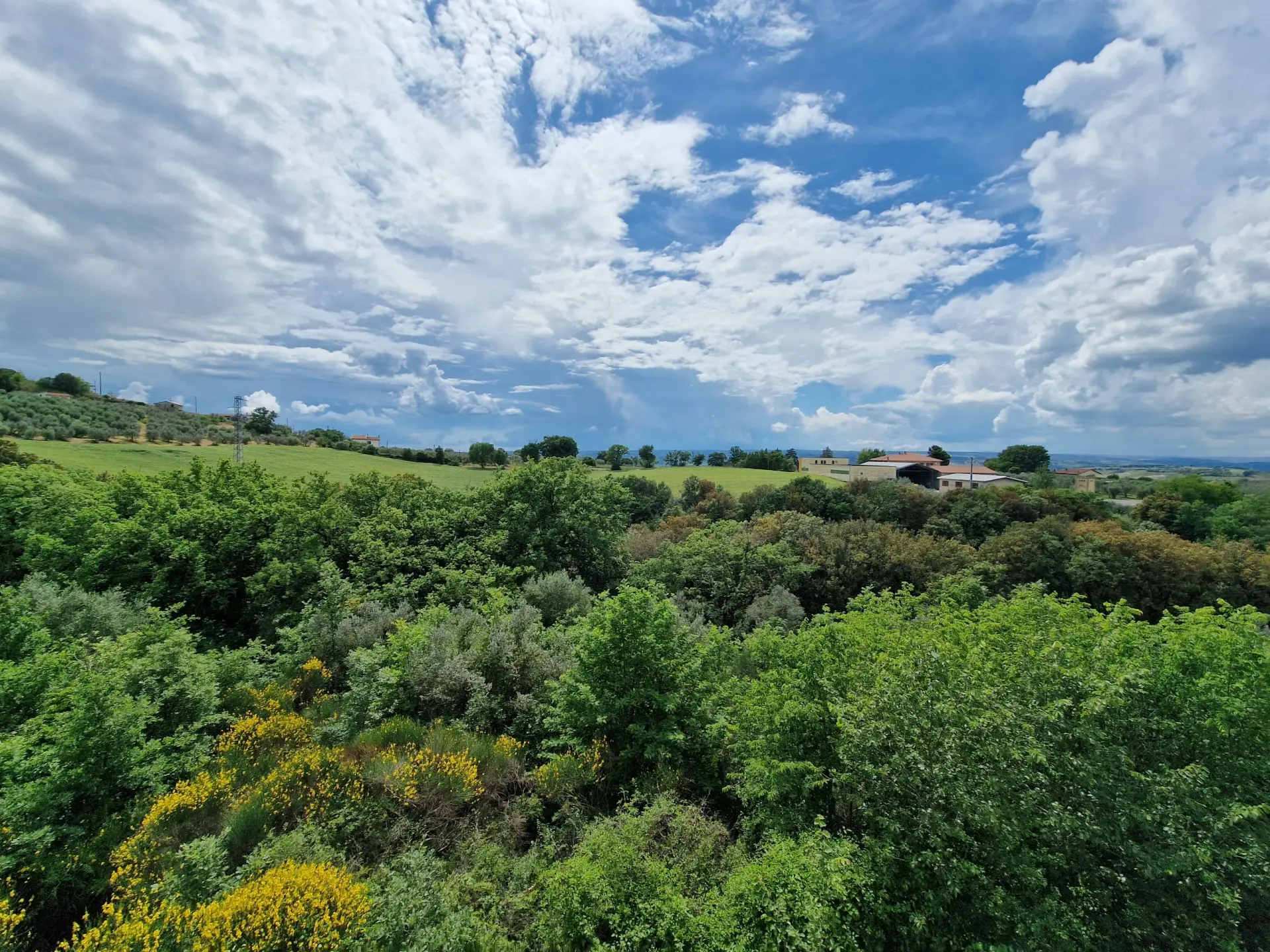 Immagine per Villa in vendita a Montecchio via Cucicchi
