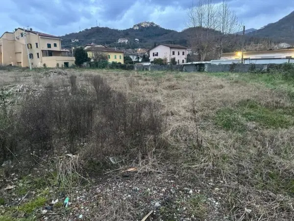 Industriale via Larga, Luni