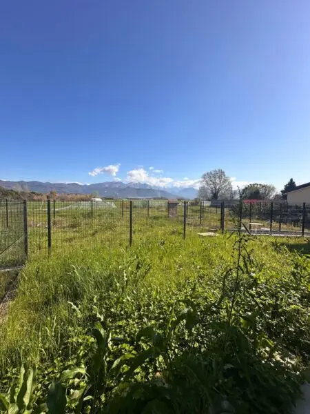 Terratetto via Litoranea 79f, Ameglia