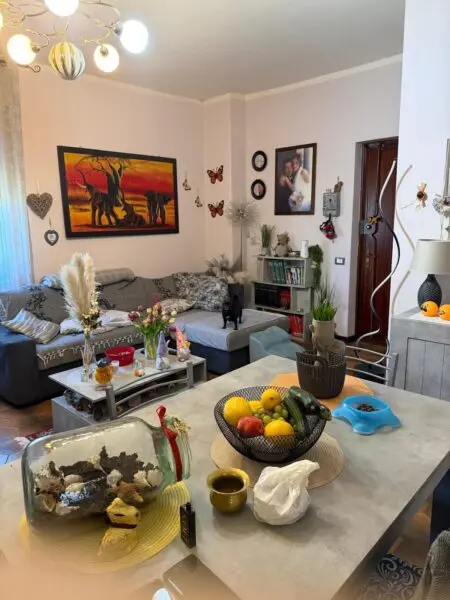 Monolocale via Della Pace 24, Castelnuovo Magra