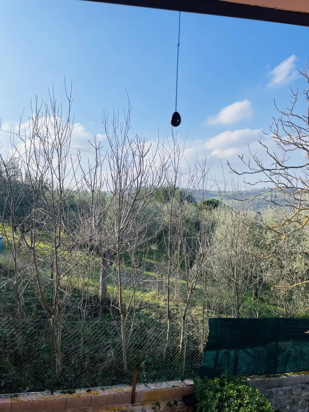 Immagine per Villa a schiera in vendita a Jesi via Battinebbia