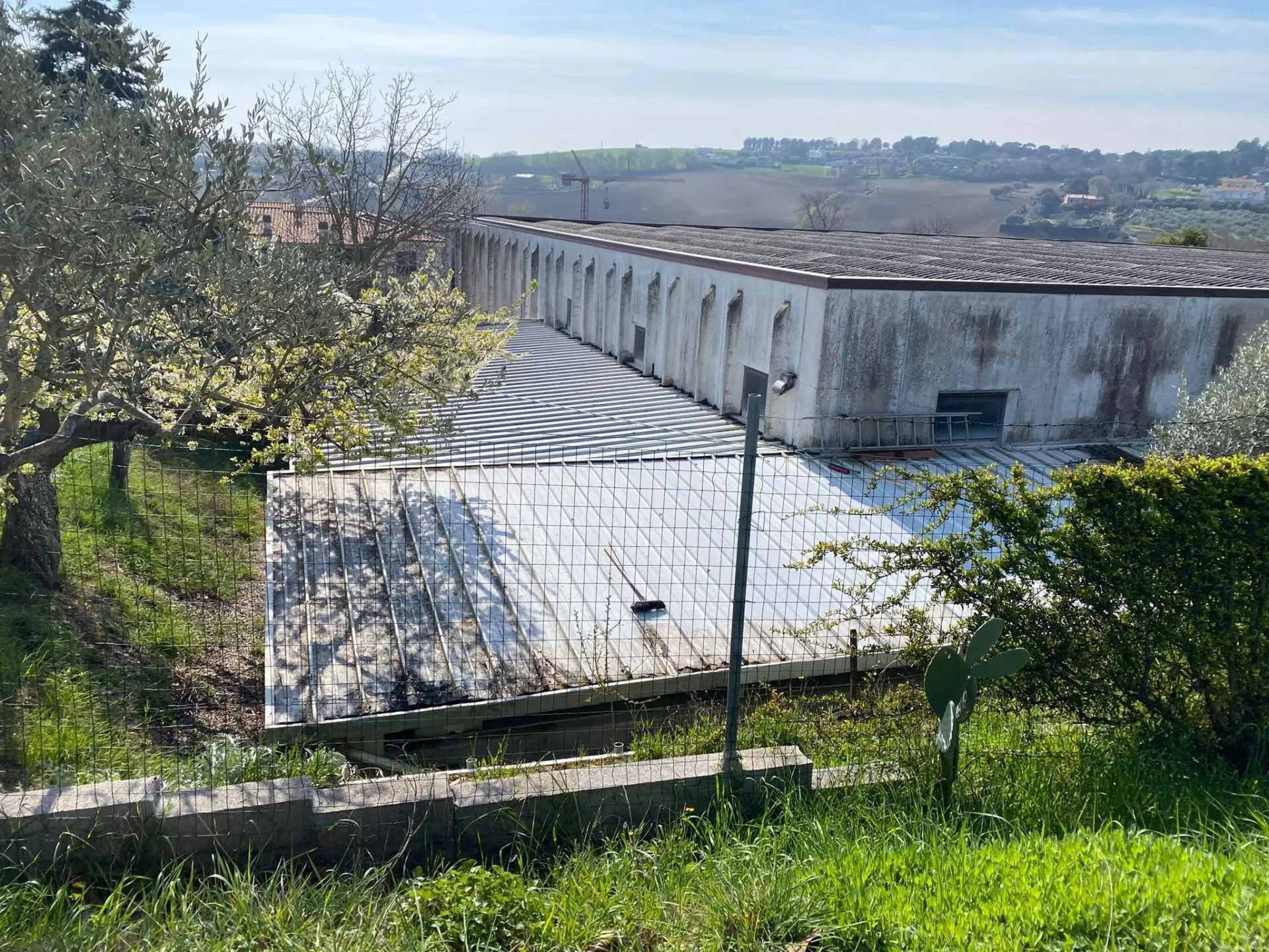 Immagine per Industriale in vendita a Sirolo