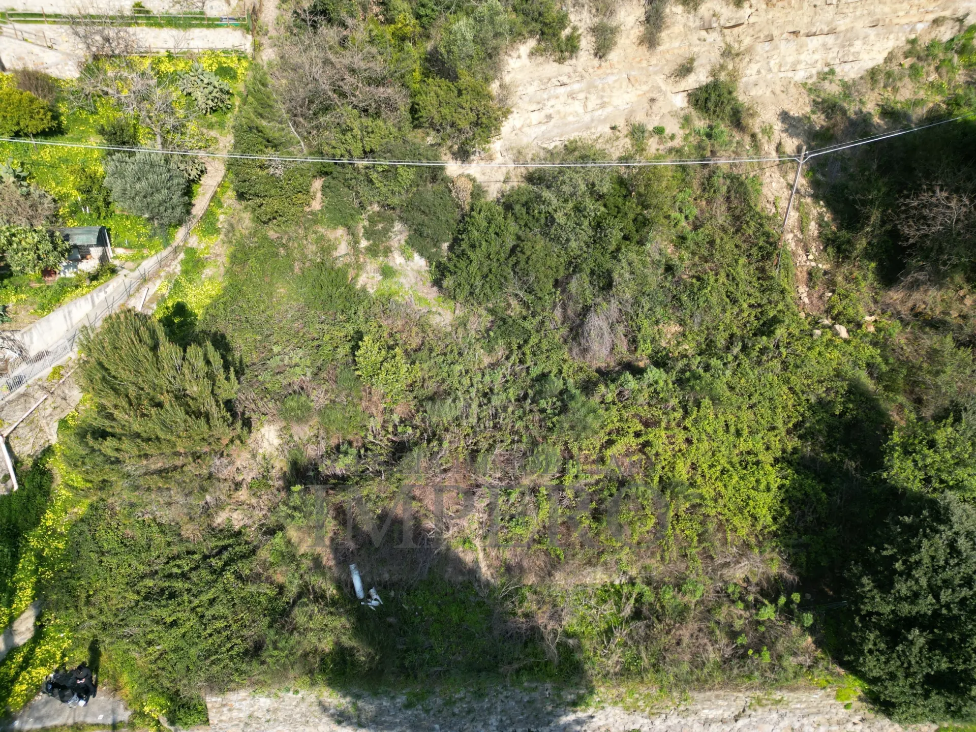 Immagine per Terreno in vendita a Ventimiglia corso Limone Piemonte snc