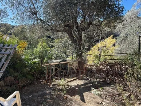 Villa via Silvio Pellico, Bordighera