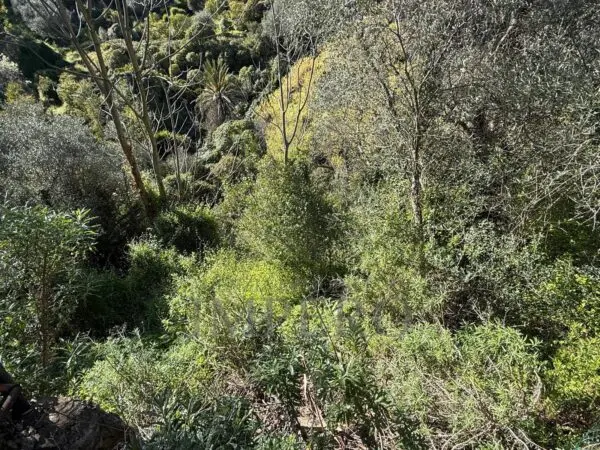 Villa via Silvio Pellico, Bordighera