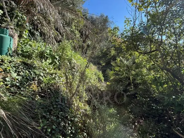 Villa via Silvio Pellico, Bordighera