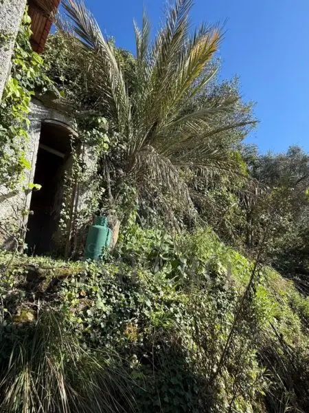 Villa via Silvio Pellico, Bordighera