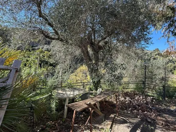Villa via Silvio Pellico, Bordighera