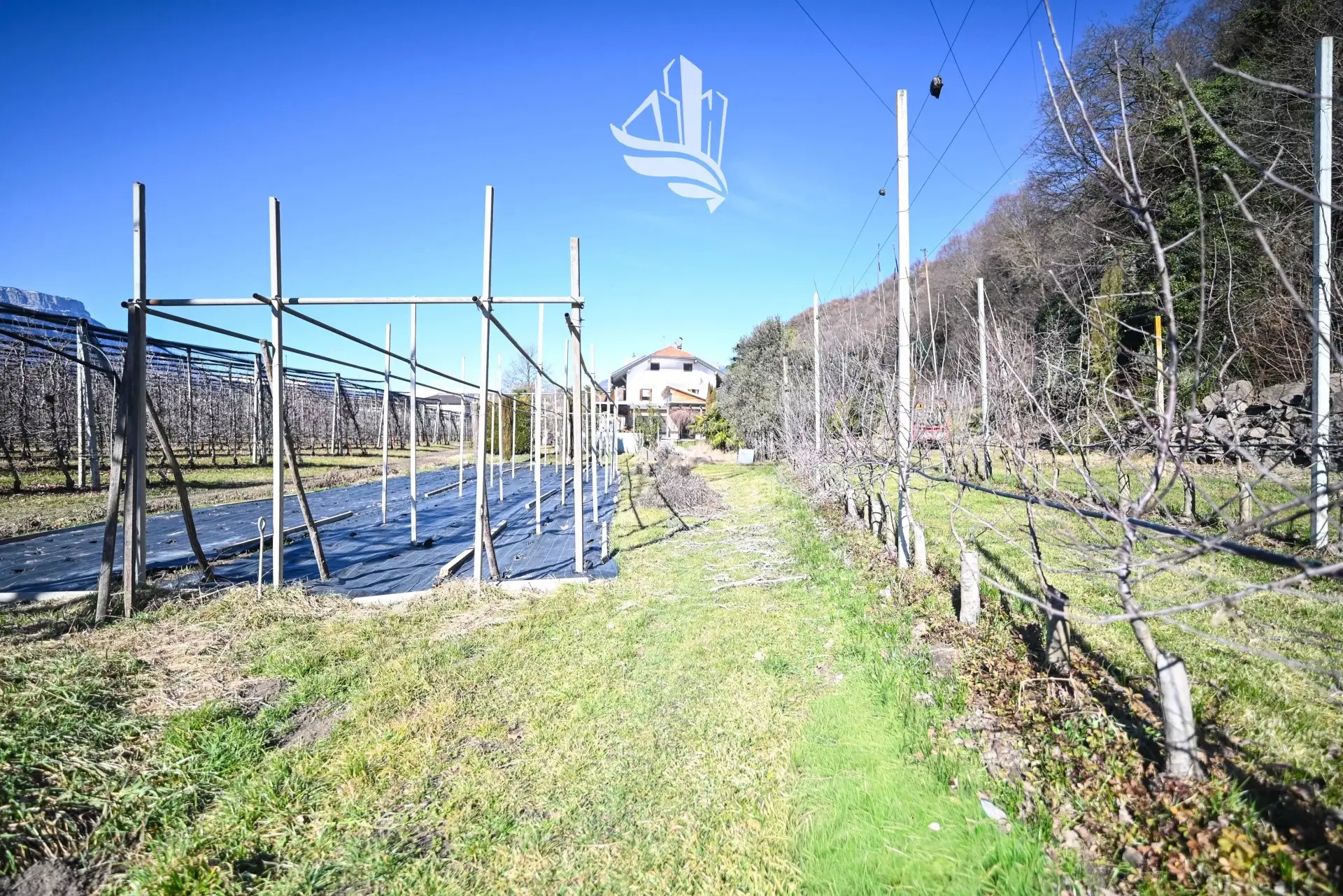 Immagine per Cascina in vendita a Laives