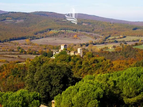 Immagine per Villa in vendita a Siena
