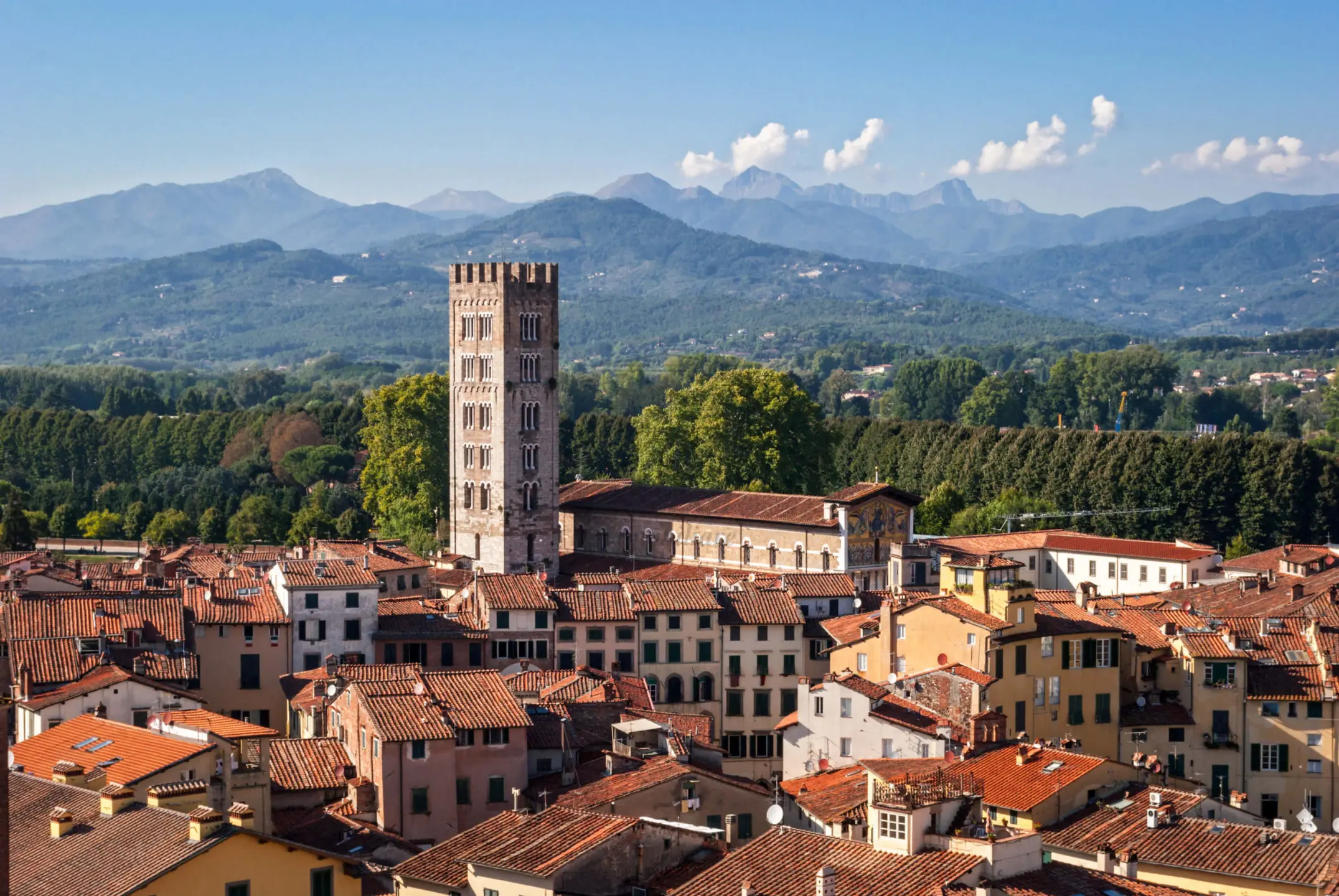 Immagine per Locale commerciale in affitto a Lucca via Beccheria 35