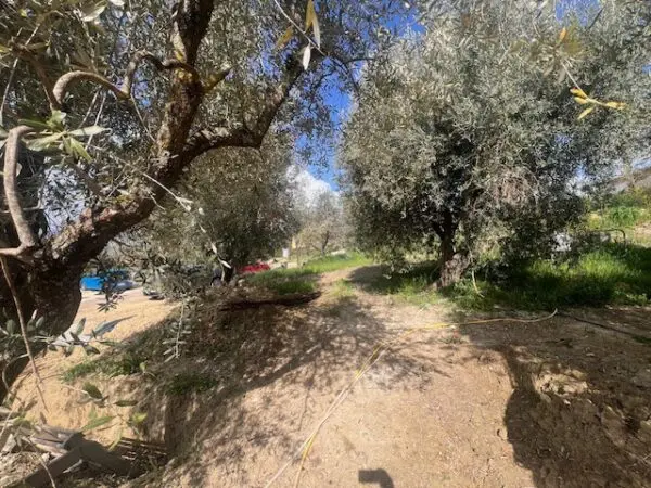 Villa via Villini La Corte, Calvi Dell'Umbria