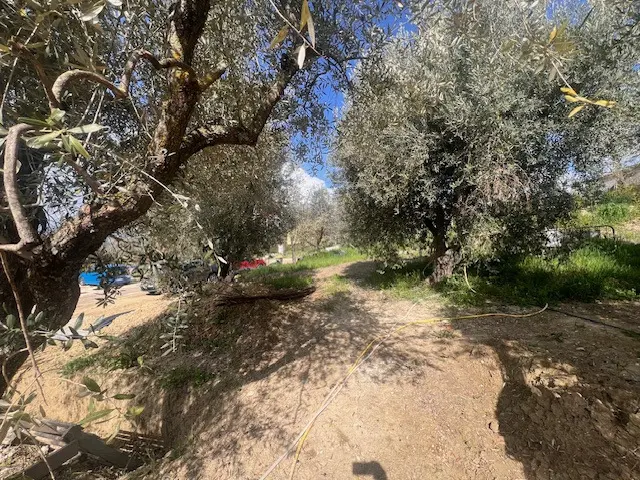 Immagine per Villa in vendita a Calvi dell'Umbria via Villini La Corte