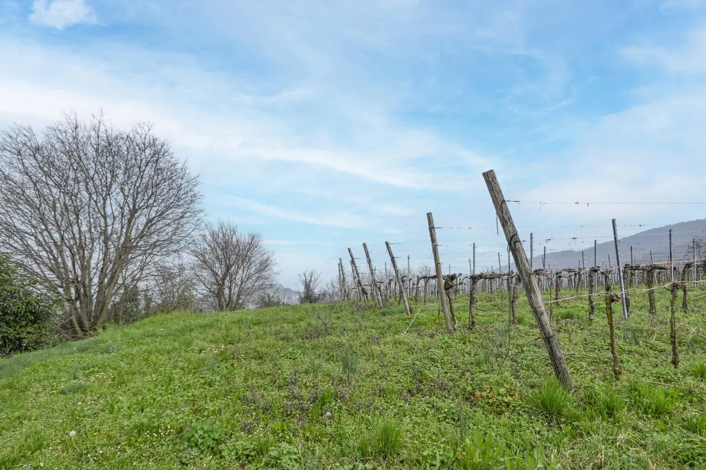 Immagine per Terreno Edificabile in vendita a Chiuduno via Suardo 41